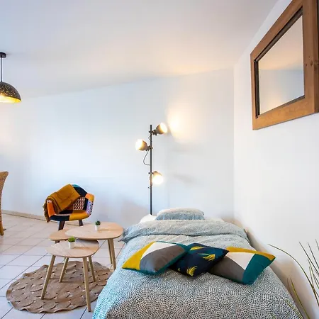 Chic Appart Avec Parking Au Centre-ville Апартаменты *